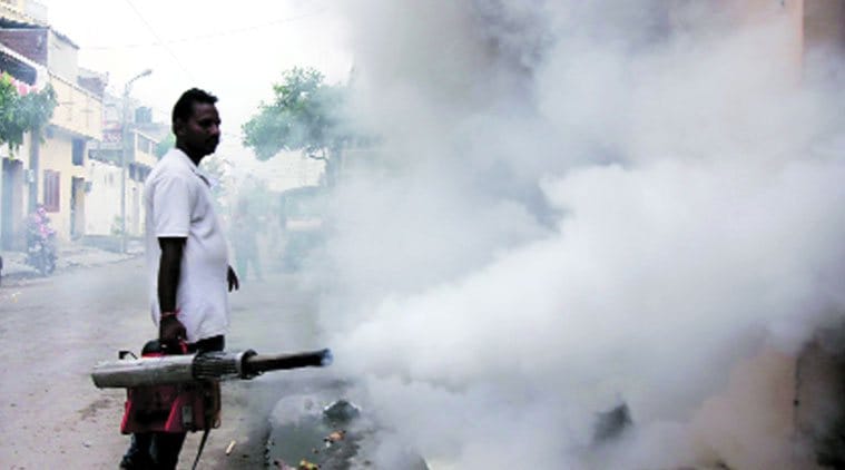 fogging increased dengue