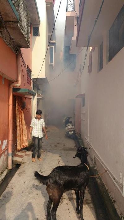 fogging increased dengue