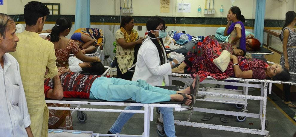 Three more died due to chikungunya in the capital, Know what is this disease