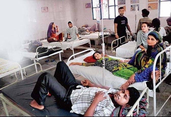  3 died in 24 hours in delhi by chikungunya 