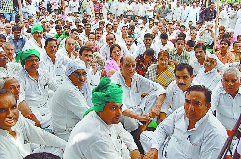 RLD's performance in Collectorate