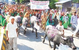 anganbari worker news