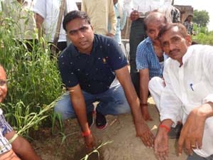 farmer work