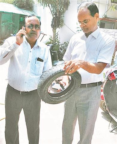 The larvae of dengue in the city got 14 place