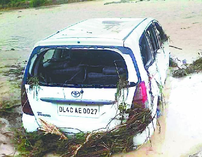 two brothers swept in sher nala