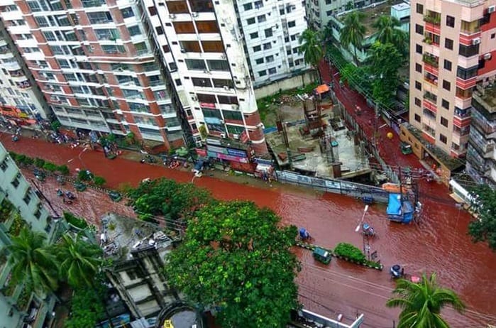 Blood river in Dhaka street after eid