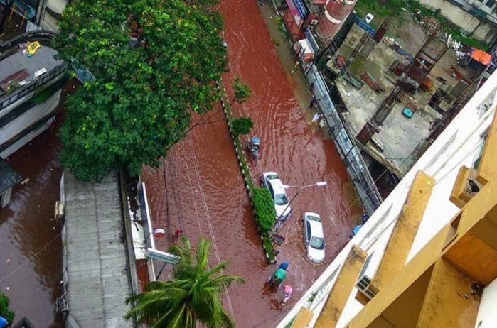 Blood river in Dhaka street after eid