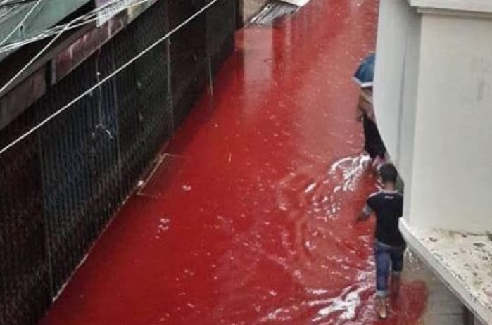 Blood river in Dhaka street after eid