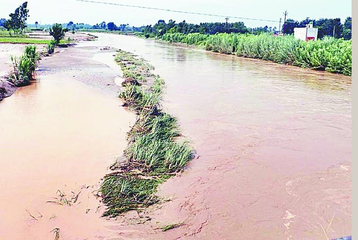 Kotawali and Malan river overflowed in the disclosure