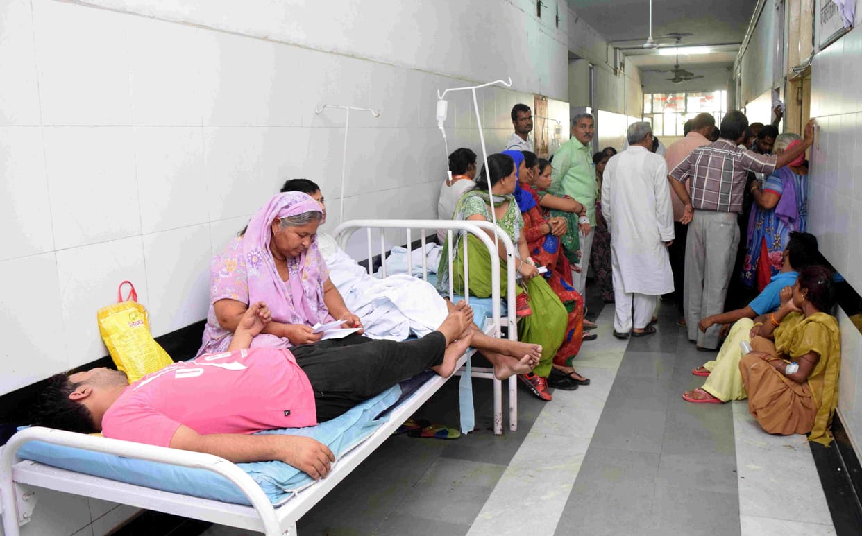 pgi, medical, dengue, fiver, rohtak, hartyana, patient