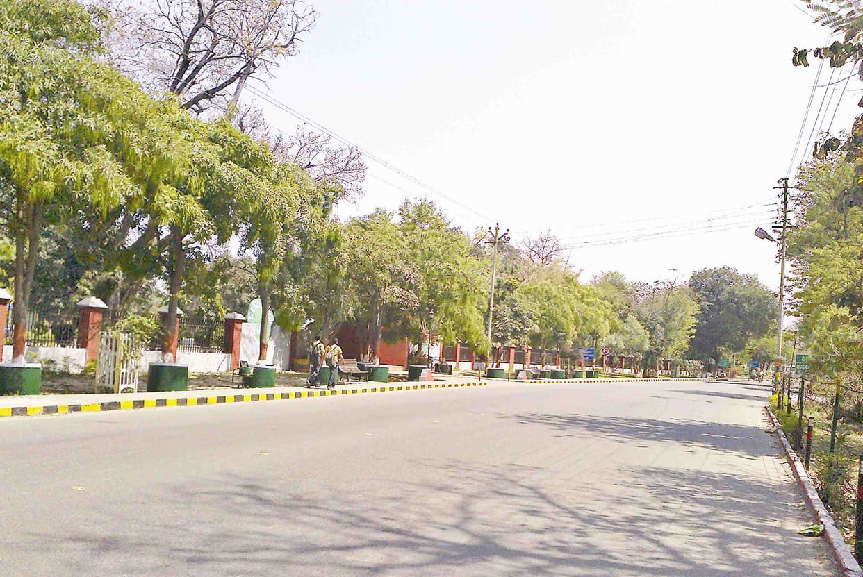 60 species fluttered in Cantt