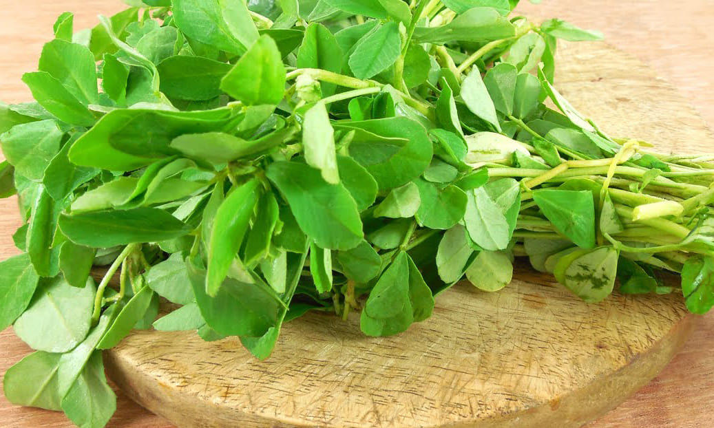 home remedies for dengue and chickengunia