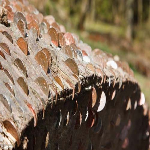 mystery of magic money tree