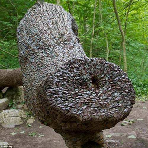 mystery of magic money tree