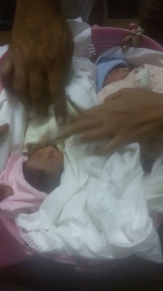 new born two girl babies left on house door by mother in panipat