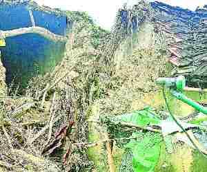 Two houses fell down in rain