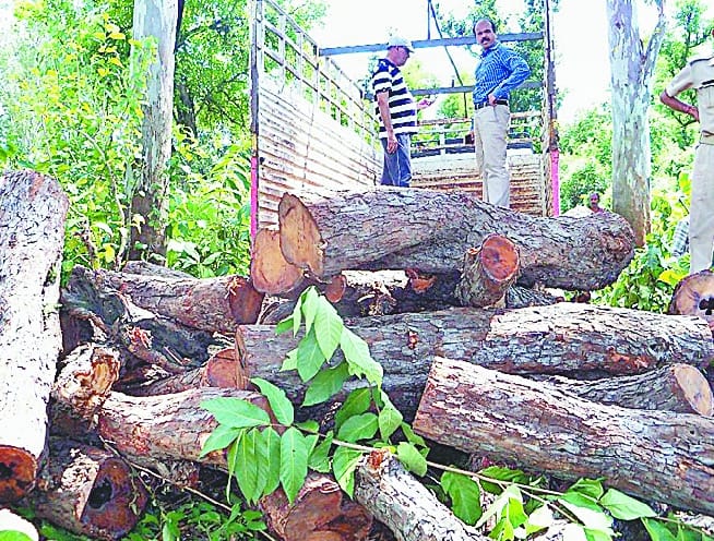 Well , except part of the timber and vehicle