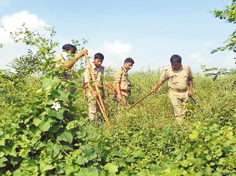 Head chopped body was found in bushes