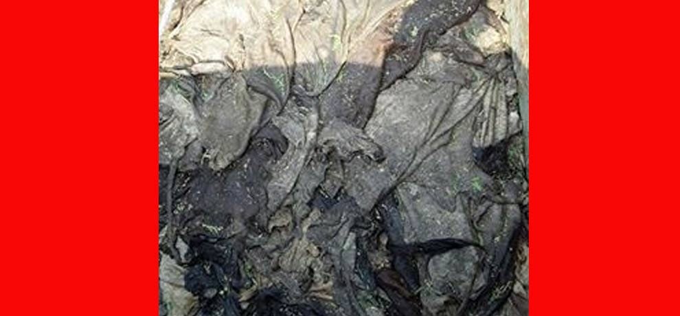 truck carrying skin of animals found in greater noida, people jammed the road drivers fled away