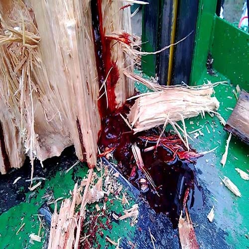 Most amazing tree of blood 