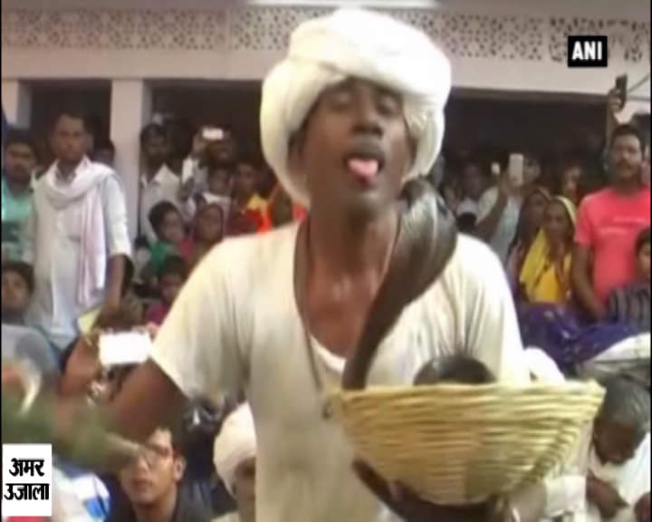 सांप से डसवाता शख्स