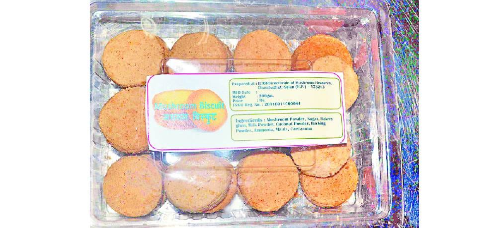mushroom biscuits helpful to control blood pressure