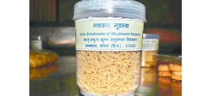 mushroom biscuits helpful to control blood pressure