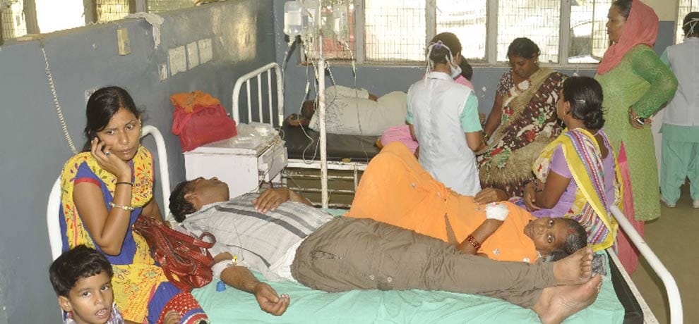 dengue and chickungunya is affecting many lives in delhi
