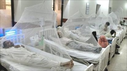 terror on dengue and chikungunya in haryana, patients number increasing in hospitals