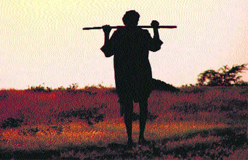 two farmer commit suicide due to bank loan in punjab