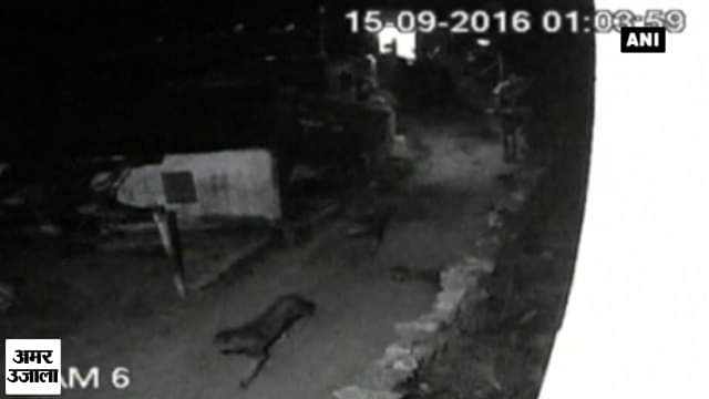 गिर सोमनाथ