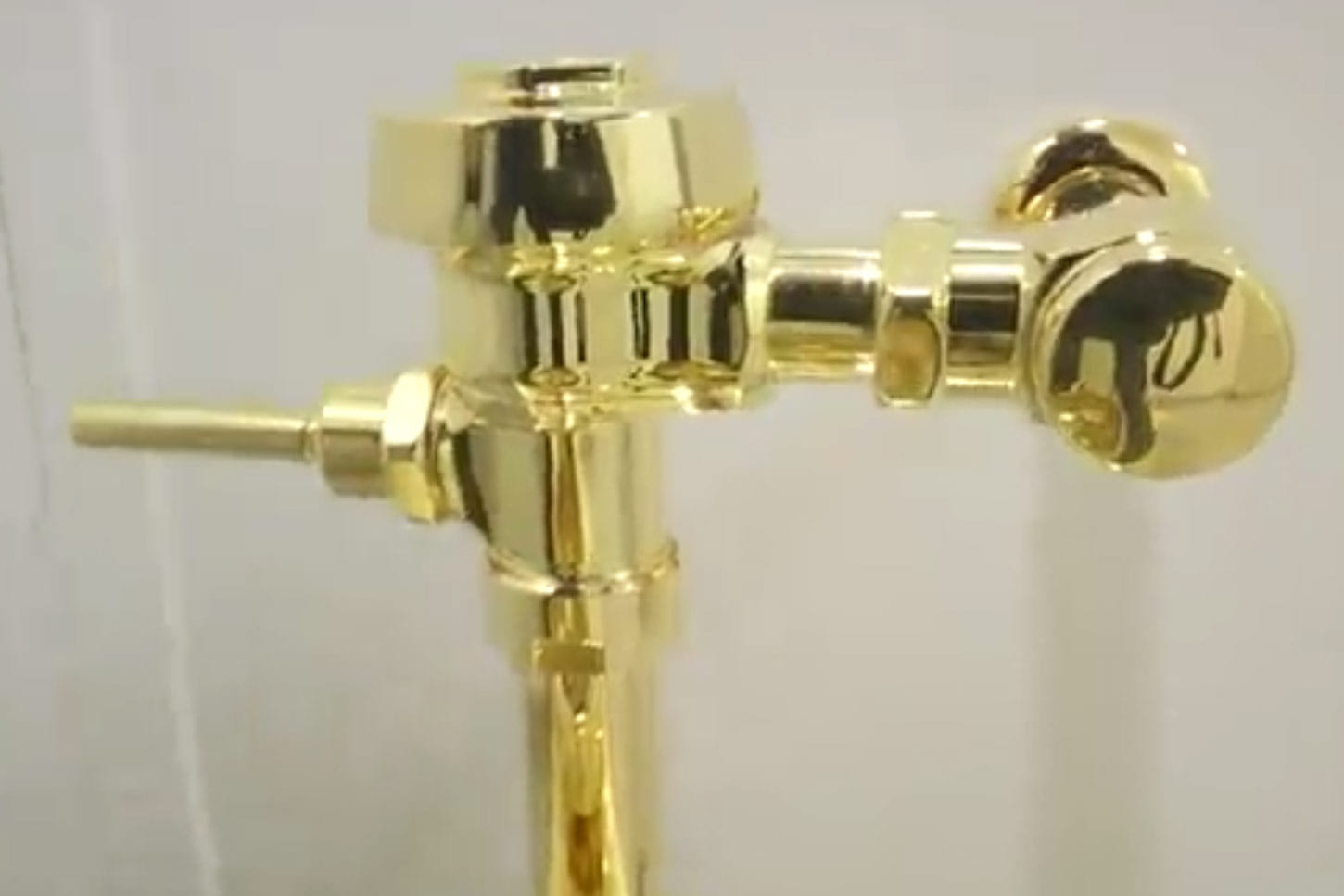 New York Museum offer visitors to use Gold Toilet