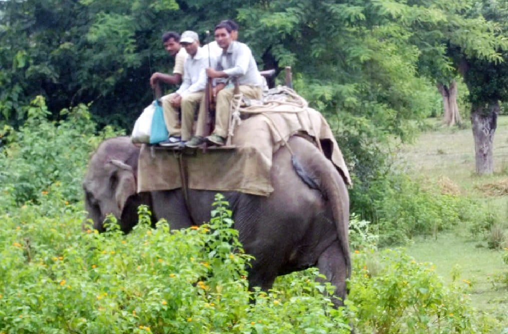 Leopard attack spoke, one injured