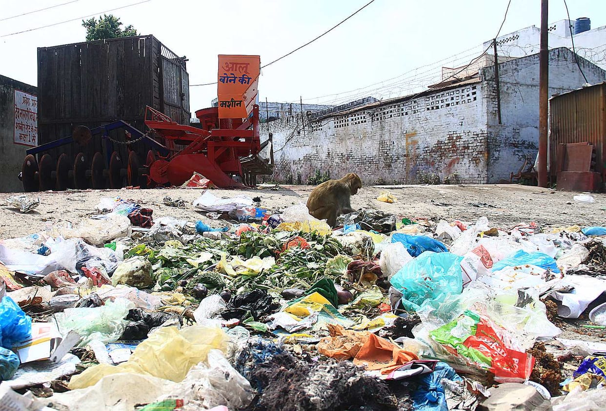 On Sunday, the streets of the city Engaged on garbage dump