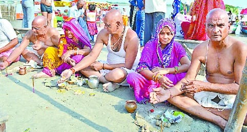 Tarpan ancestors began with Pind dan