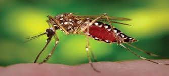 Unnao havoc dengue, including three of the soldiers snatched sisters