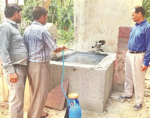 DM dengue mosquito larvae found in housing