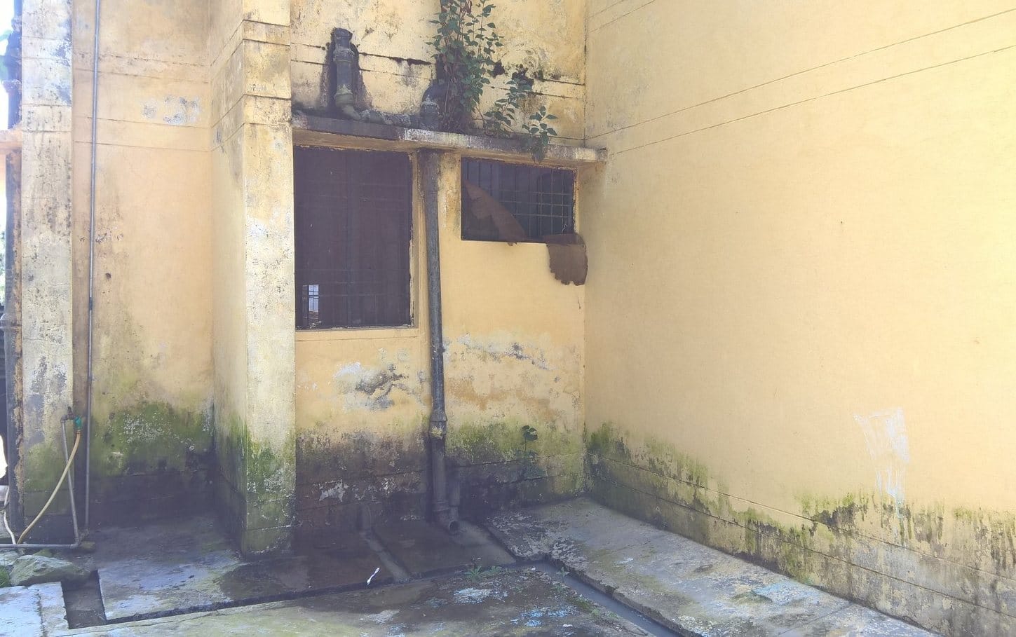 no food for student in rajeev gandhi navodaya vidyalaya