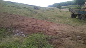 Was building up in the open field and plots diseases