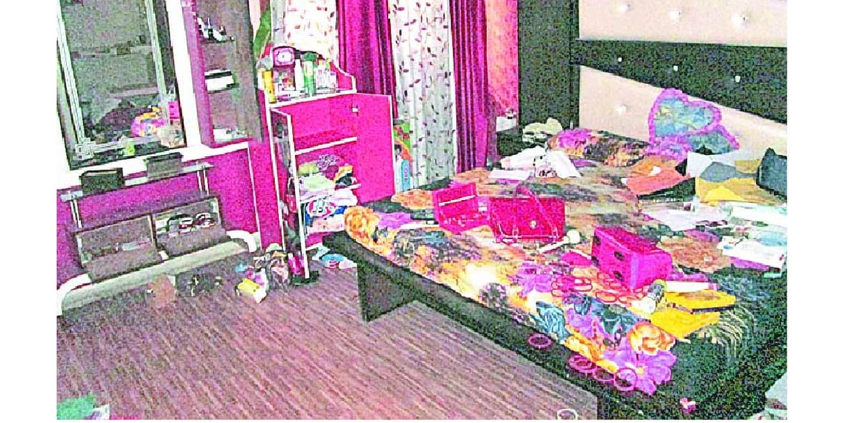 theft, crime, police, yamunanagar, haryana