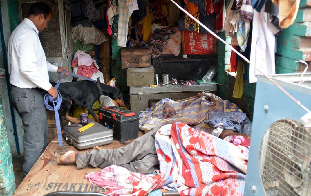 man killed his brother family member for property in Allahabad