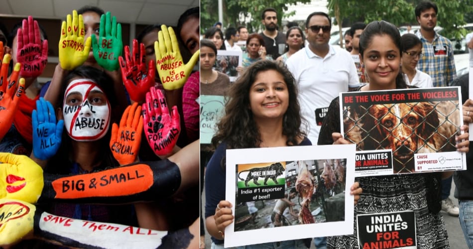 India Workers Unite for animal derived rally