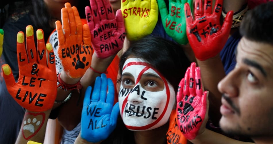 India Workers Unite for animal derived rally