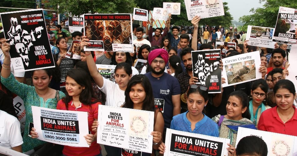 India Workers Unite for animal derived rally