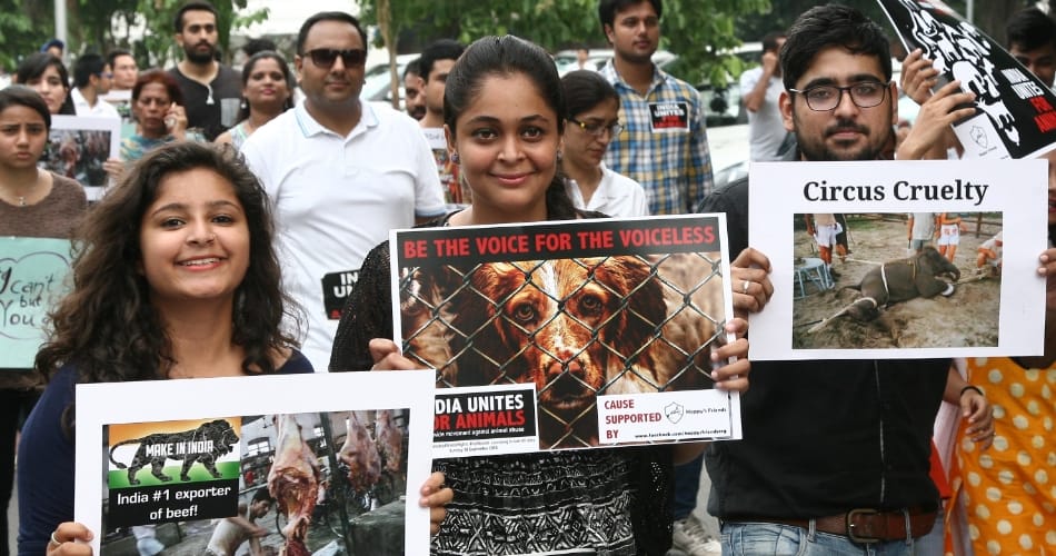 India Workers Unite for animal derived rally