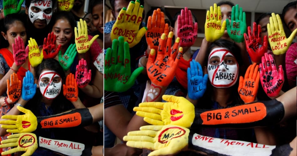 India Workers Unite for animal derived rally