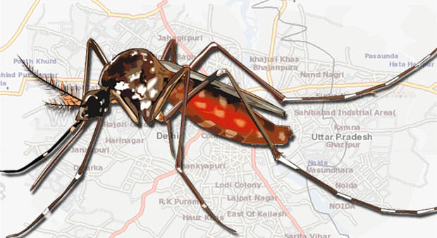 creating hype for selling kits of dengue spread