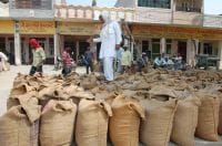panipat, driver, truck, rice, panipat