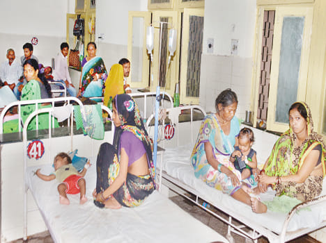 dengue caused two more death