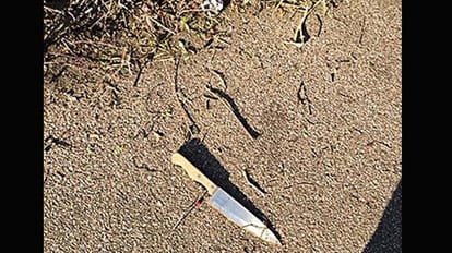 teenager stabbed 100 times by boyfriend in England